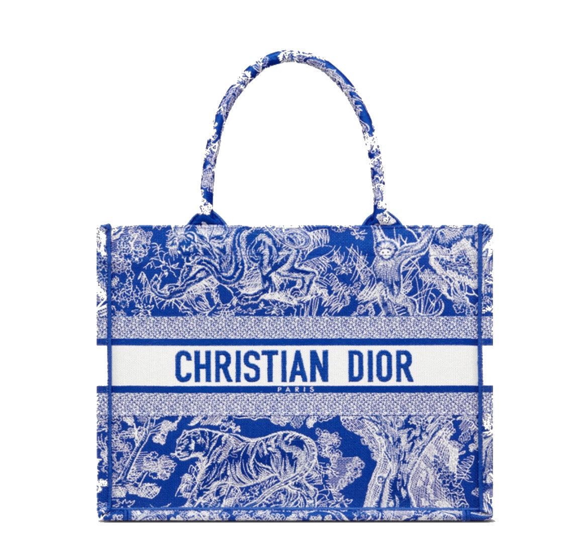 Dior fashion tote book bag price