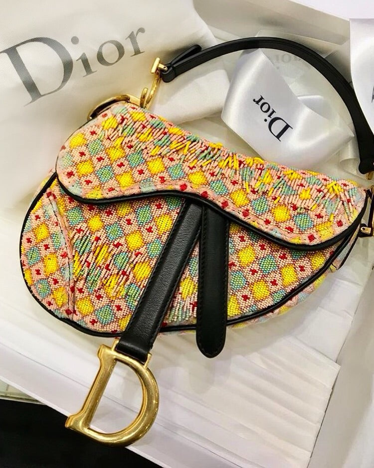Dior Saddle Bags 